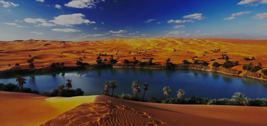 fayoum